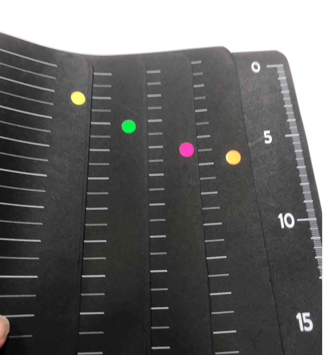 ブラックノートのページを扇状に広げ、カラーの丸シールが各ページ端に貼られインデックスとして機能している写真。裏表紙の定規も見える。